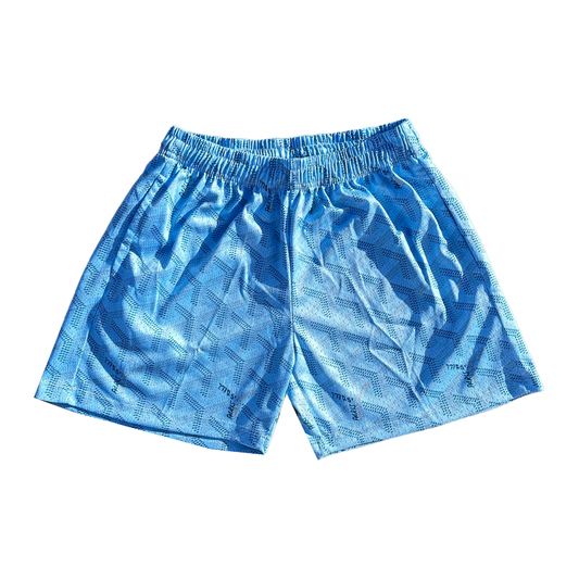 Baby Blue Paris Mesh Shorts