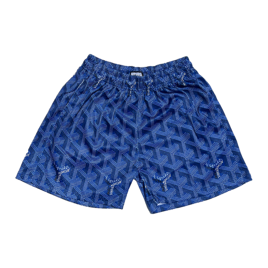 Blue Paris Mesh Shorts
